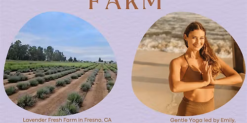 Gentle Yoga at Lavender Fresh Farm