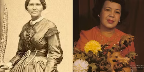 Bitter Laurel by Margaret Bonds