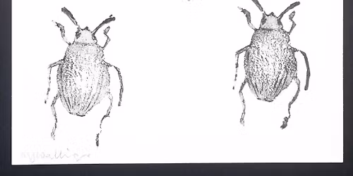 Bugs Are Us: October half term workshops