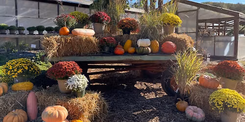 Bear Creek Nursery Fall Festival