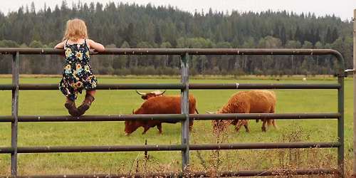 Yuba-Sutter Mini Sessions