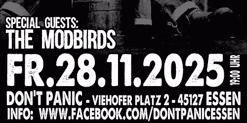 Mr. SYMARIP a.k.a. ROY ELLIS and Band (Skinhead-Reggae und Ska) + Modbirds