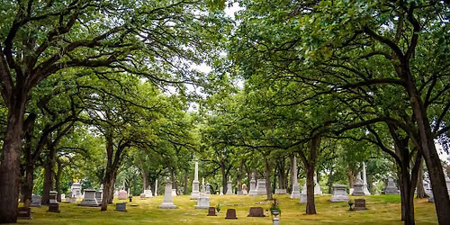Legacy Trees of Lakewood: Public Walking Tour
