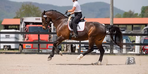Double Edge Dressage Show #2