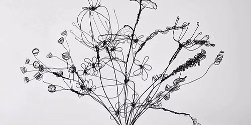 Wire Seed Head Art Workshop