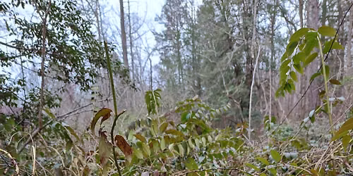 Wetland Loop Hike