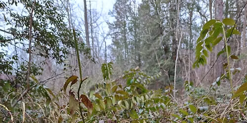 Wetland Loop Hike