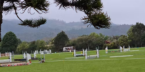 Northland Area Show hunter 26