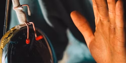 Les Hommes Sensibles. Vademecum