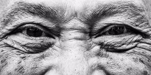 A Natural History of Human Longevity