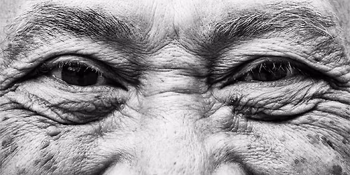 A Natural History of Human Longevity