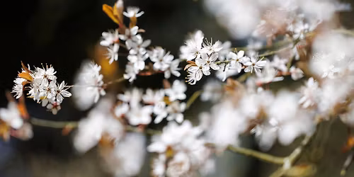 Talvisodan syttymisen muistotilaisuus Lappeenrannassa
