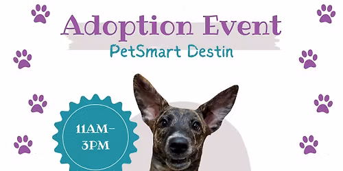 Adoption Event at PetSmart