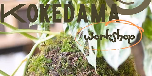 Kokedama Workshop