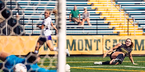 Stonehill Skyhawks at Vermont Catamounts Mens Hockey