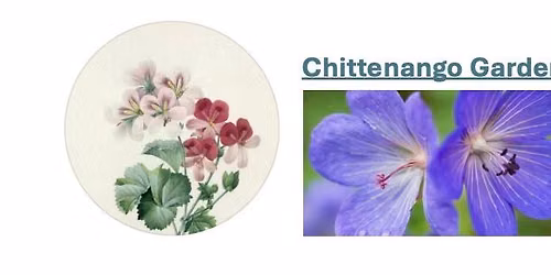 Lynne Romeiser Logan Talk: \u201cEdible Flowers\u201d