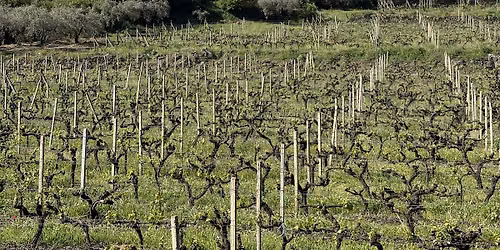 A Tour Through Mt. Etna