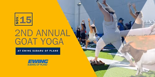 2nd Annual Goat Yoga at Ewing Subaru of Plano