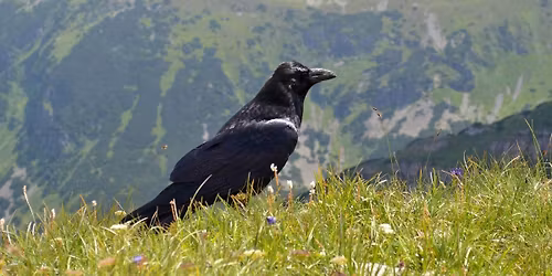 G\u00f3ry Krucze: Ja\u0144ski Wierch, Szeroka i Korona G\u00f3r Kruczych