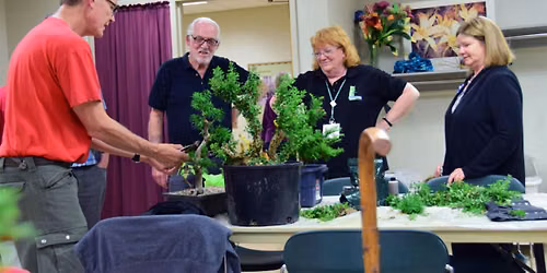 Fall Chinese Elm Workshop 2026 Volunteers