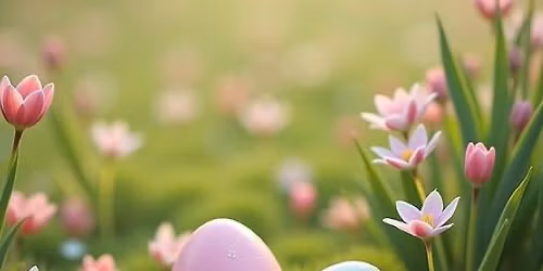 April Compassionate Friend Meeting