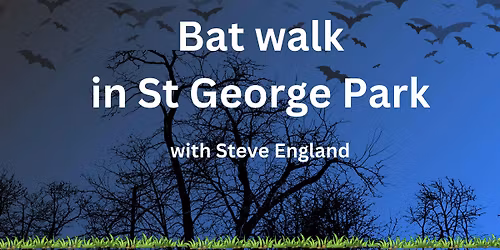 Bat Walk with Steve England (May)