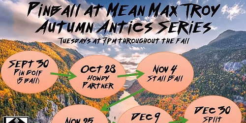 Stall Ball Pinball - Autumn Antics Series