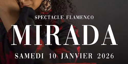 Spectacle MIRADA Flamenco