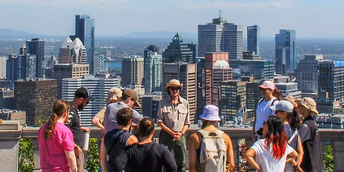 Randonn\u00e9e p\u00e9destre: Le sommet du mont Royal