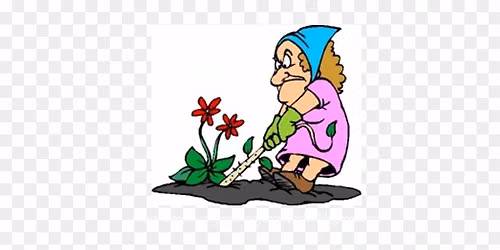 Gardening at Waynesville Library
