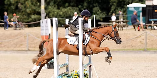 Wylye Valley Mini Showjumping 30-70cm