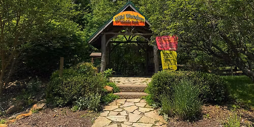 Free Community Park Day