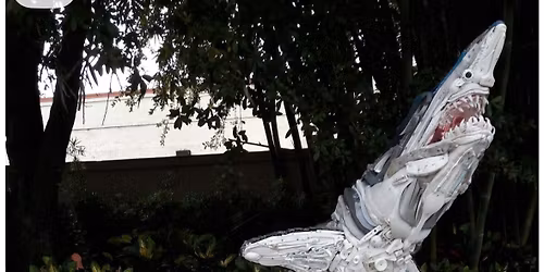 Trash to Treasure Eco Art Show