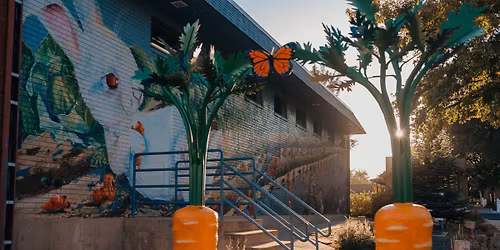 Sensory Friendly Playtime - November! 