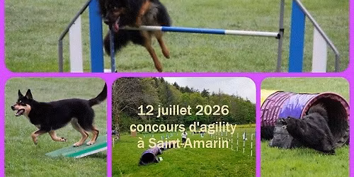 Concours agility 9 parcours Association Canine  Saint-Amarin