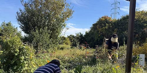 EPACS Community Garden Volunteer Workday\/ Jornada Voluntaria de Jardiner\u00eda