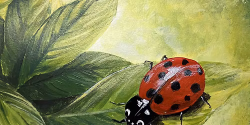 Ladybug on Leaf