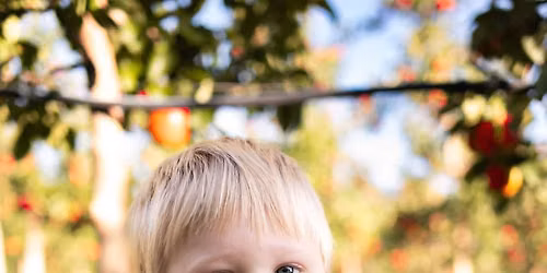 Lakeland Orchard Apple Picking Photo Sessions