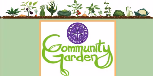 Community Garden Planting Day