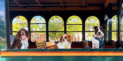 Downtown Petoskey Dog Days of Summer
