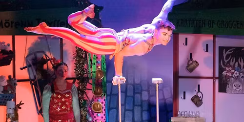 Cirque Dreams: Holidaze