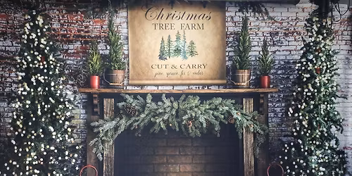 Christmas Mini Sessions