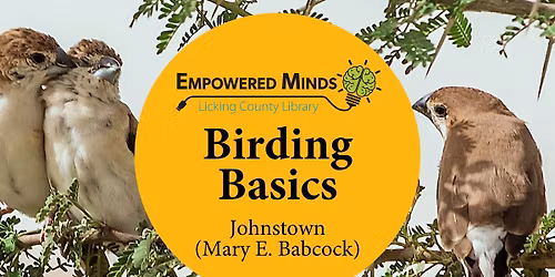 Birding Basics