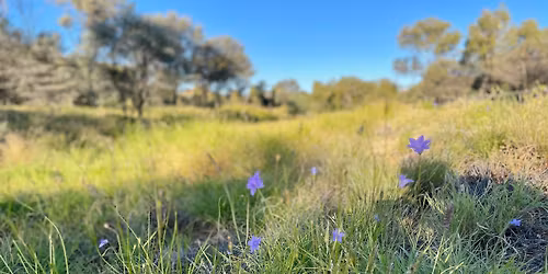 Kurrajong Field Day
