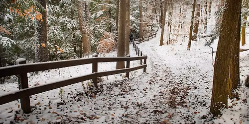 Mindfulness Hike & Hot Cocoa