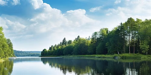 Volunteer at Blue Heron Nature Preserve