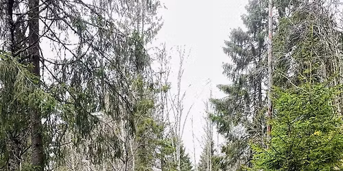 Trilletur Mariholtet (fra Ellingsrud)