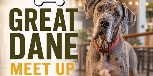 Great Dane Meet Up at Dog Bar Sarasota