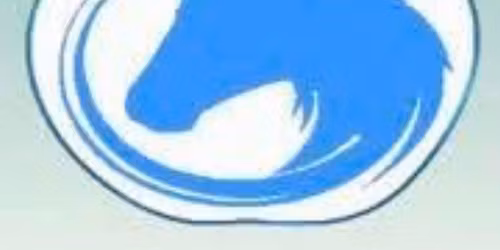 Somerset Shetland show ( late autumn)