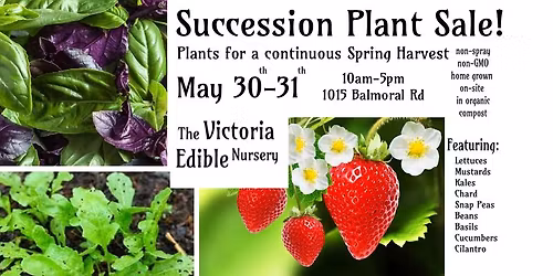 Succession Planting for continuous Spring Crop Harvest ~ 25% Offf Select Varieites of Greens!